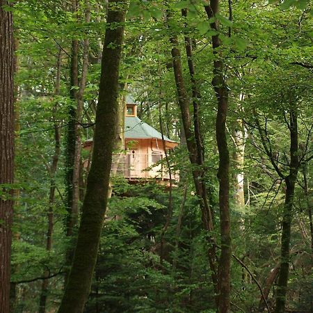 Les Cabanes De Kermenguy Cléder Cameră foto