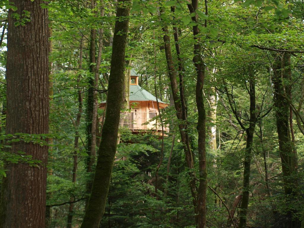 Les Cabanes De Kermenguy Cléder Cameră foto